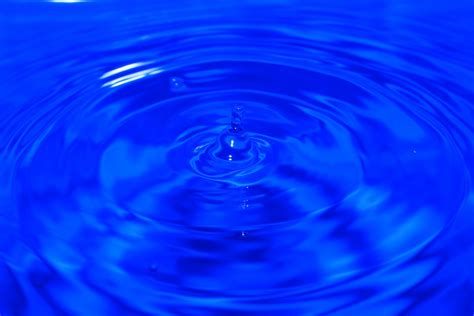 Free Images Water Drop Wave Petal Glass Reflection Circle Life
