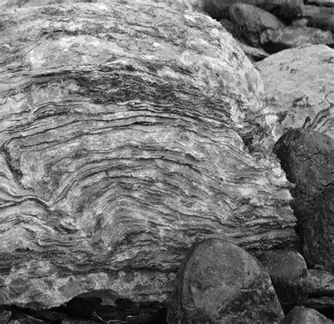 Mapping The Shoreline 2 Stromatolites Draw And Shoot