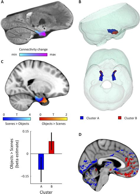 Functional Topography Of The Human Entorhinal Cortex Elife