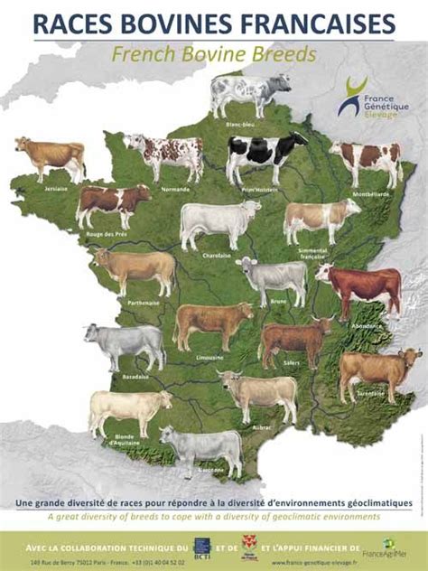 Booklet Carte Des Races De Vaches En France