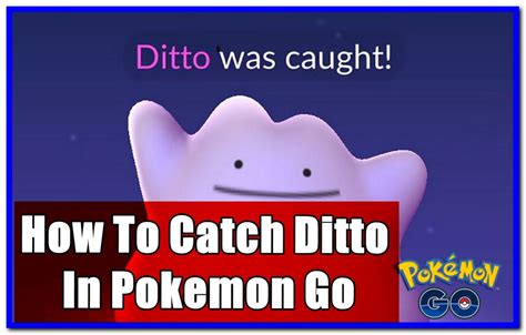 guide to catch ditto in pokemon go 2024 gameinstants
