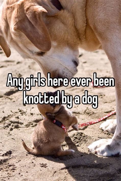 Any Girls Here Ever Been Knotted By A Dog