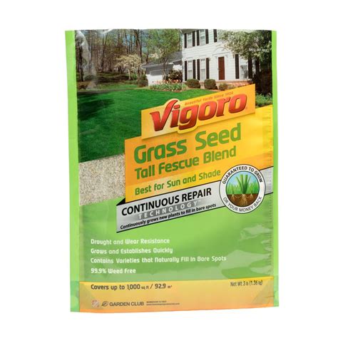 Home And Garden Scotts Turf Builder Grass Seed Tall Fescue Mix Full Sun