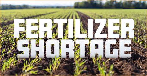 Fertilizer Shortage Puts World On Verge Of Food Crisis The Lid