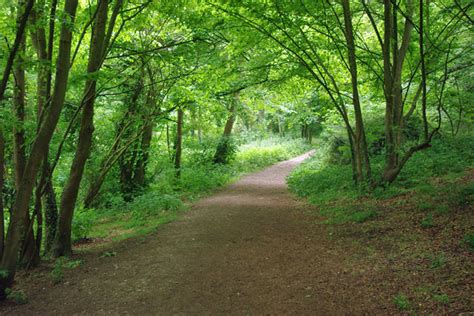 Path Through The Woods © Robin Webster Cc By Sa20