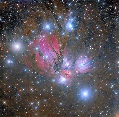 Shí 🦋 On Twitter Ngc 2170 Aka Angel Nebula Ngc 2170 Is The One In