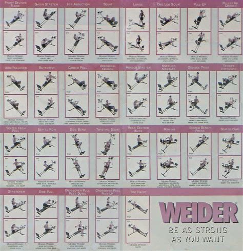 Exercise Chart For Weider Ultimate Body Works Exercise Poster