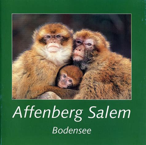 Take a wildlife tour at affenberg salem, germany. Les Zoos dans le Monde - Affenberg Salem