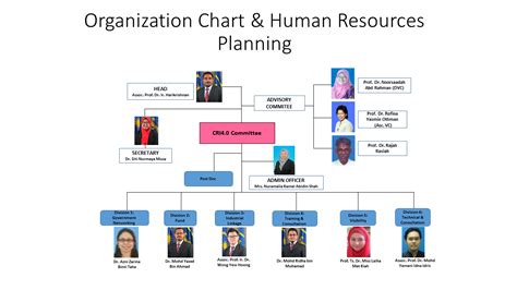Organizational Chart Human Resource Management System Business Png