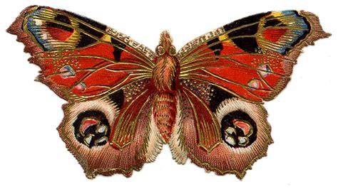 Victorian Graphic Colorful Butterfly Or Moth The Graphics Fairy