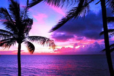 Hawaii Sunset Wallpaper ·① Wallpapertag