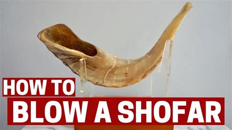 How To Blow A Shofar And Shofar Blessing Youtube