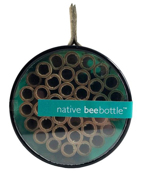 Native Bee Bottle Pollinator House Leafcutter And Mason Bees Bee House
