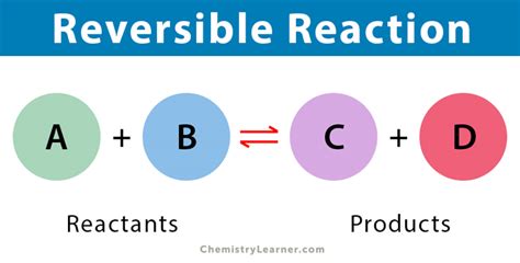 Reversible Reaction Definition Conditions And Examples