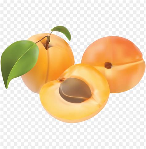 Peaches Clipart Png Photo Toppng