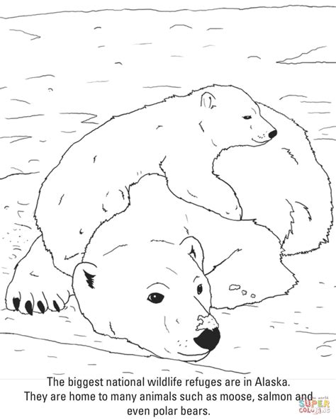 Ursos Polares Super Coloring In 2021 Polar Bear Coloring Page Bear