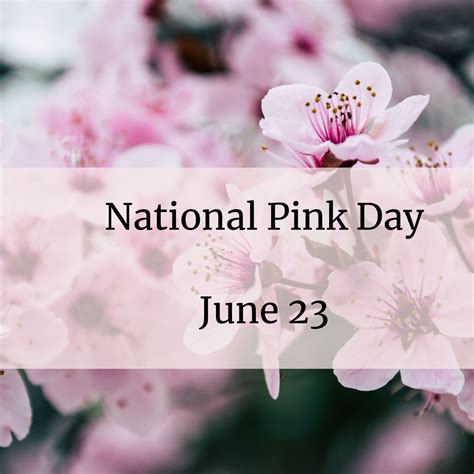 A Review Of National Pink Day