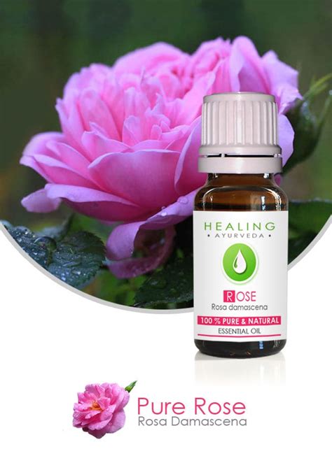 Pure Rose Oil Rose Otto Undiluted Rose Essential Oil Rosa