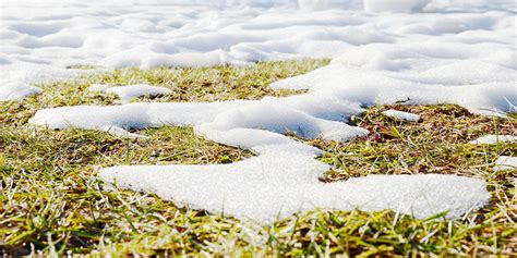 How Melting Snow Can Affect Your Garden