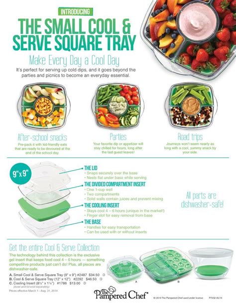 The Pampered Chef Cool And Serve Square Tray Item 2292 4650 Veggies