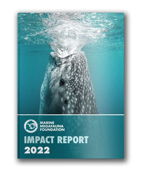 Whale Shark Reproduction — Marine Megafauna Foundation