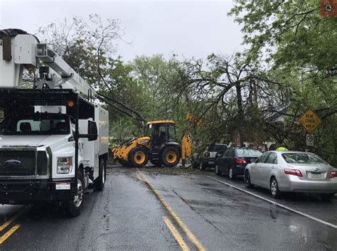 Fallen tree forces road to be closed in Lancaster County: police
