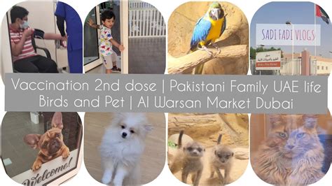 Birds And Pet Al Warsan Market Dubai Vaccination Nd Dose
