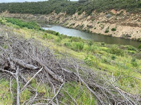 Alien Vegetation Removed At Catchment Areas To Save Every Drop News24