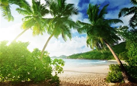 Tropischer Strand Palmen Sand Meer Küste Wolken 3840x2160 Uhd 4k