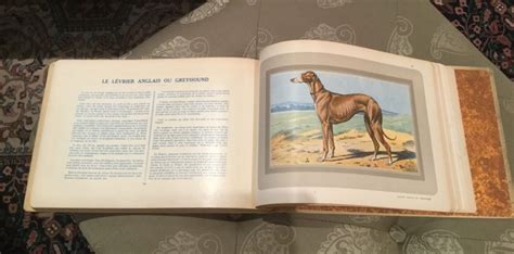 Vtg 1931 Les Chiens De Chasse French Collectible Dog Book Ebay