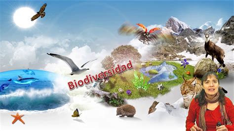 La biodiversidad es el conjunto de seres vivos (animales, plantas, hongos y microorganismos) que viven en un mismo lugar y se relacionan con su ecosistema sea este para reforzar su espíritu y mensaje, reunimos seis frases sobre la importancia de conservar la biodiversidad del planeta. BIOLOGIA "Ecosistema y biodiversidad" - I Nivel Clase n°7 ...