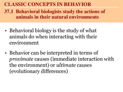 Ppt Animal Behavior Powerpoint Jose Cancino