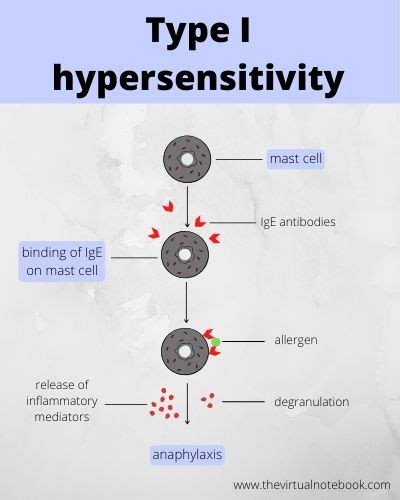 Hypersensitivity Types Symptoms Treatment The Virtual Notebook