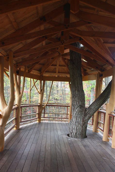 Inside Of Simple Tree Houses Finding A New Park To Visit