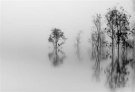 Misty Morning Australian Photography