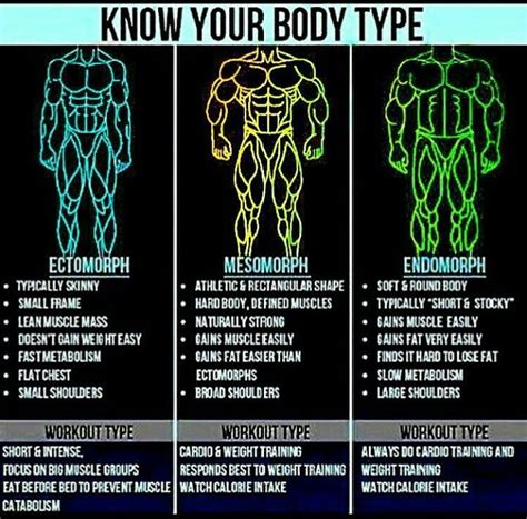 Body Type Lean Muscle Workout Plan Hard Body Body Types