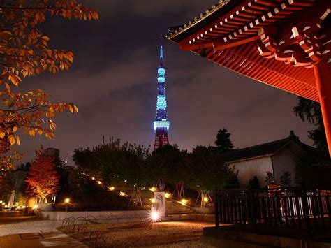Japan Tokyo Trees Cityscapes Tower Japanese City Lights Tokyo