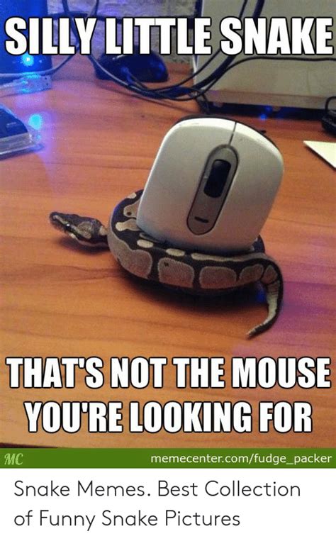 Silly Little Snake Thats Not The Mouse Youre Looking For Mc