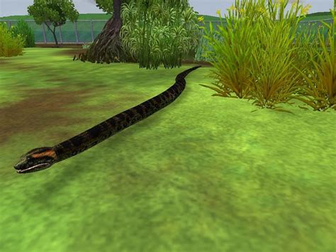 Green Anaconda Zoo Tycoon 2 Forumsclub