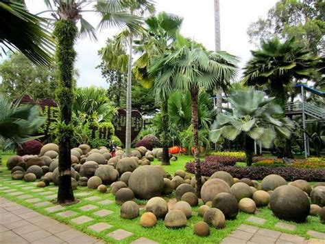 Jardines Palm Trees Landscaping Tropical Landscaping Garden