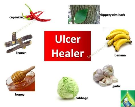 Not every food affect individuals the same manner. Ulcer Healers : The majority of ulcers develop in the part ...