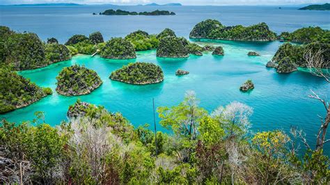 76 Raja Ampat Islands Indonesia