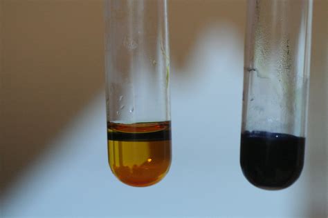 You have used an iodine solution to test for the presence of starch in many laboratory activities. Iodine test for starch | Negative test on the left ...