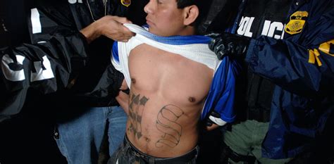 Central American Gangs Like Ms 13 Were Born Out Of Failed Anti Crime