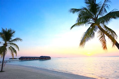 Top 5 Honeymoon Destinations in the Maldives - Alpha Maldives Blog