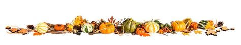 Banner With Pumpkins And Colorful Autumn Leaves Vector Eps 10 Stock