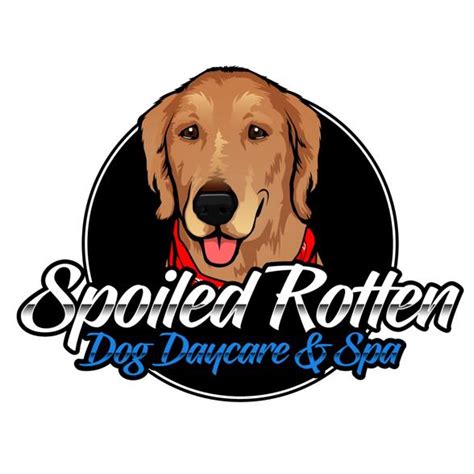Spoiled Rotten Dog Daycare And Spa Ottawa On