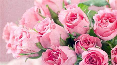 Many companies are offering online flower delivery services. Fresh Flowers Bouquet Of Pink Roses Hd Desktop Backgrounds ...