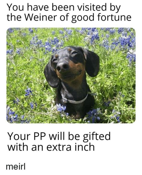 You Have Been Visited By The Weiner Of Good Fortune Your Pp Will Be