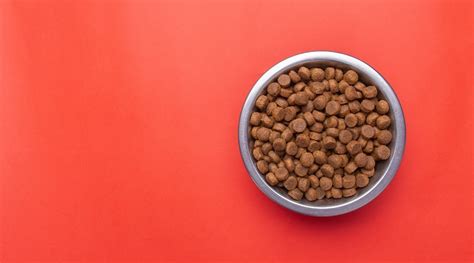 Dry food is believed to be better for a dog's teeth. American Journey vs. Taste of the Wild: Which Dog Food is ...